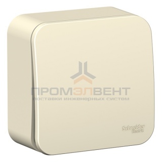 Кнопочный выключатель с самовозвратом (cх.1) Blanca Schneider Electric 10А молочный изол.пластина