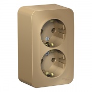 Розетка 2-ая с заземлением без шторок Blanca Schneider Electric 16А 250В титан изол.пластина